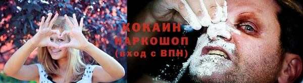 шишки Пересвет