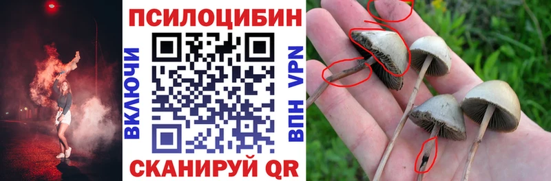 гидра вход  что такое наркотик  Симферополь  Псилоцибиновые грибы GOLDEN TEACHER 